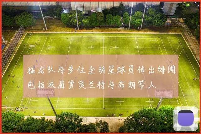 猛龙队与多位全明星球员传出绯闻包括浓眉贾莫兰特与布朗等人